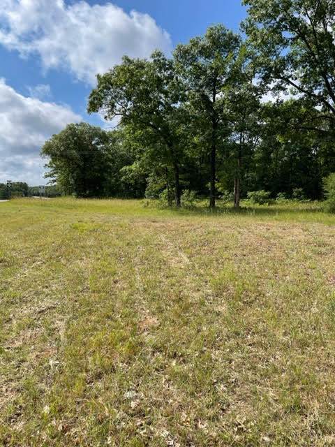 70.66 Acres M-55 - Photo 1