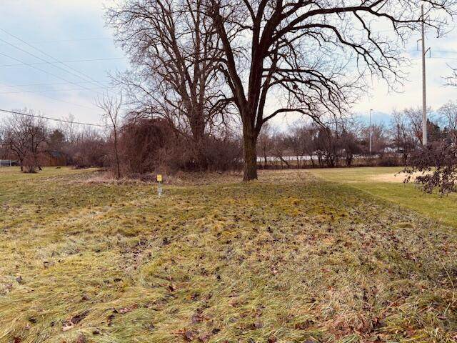0 Shirley Drive - Photo 1