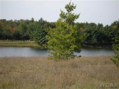 11585 Portstewart Drive - Photo 1