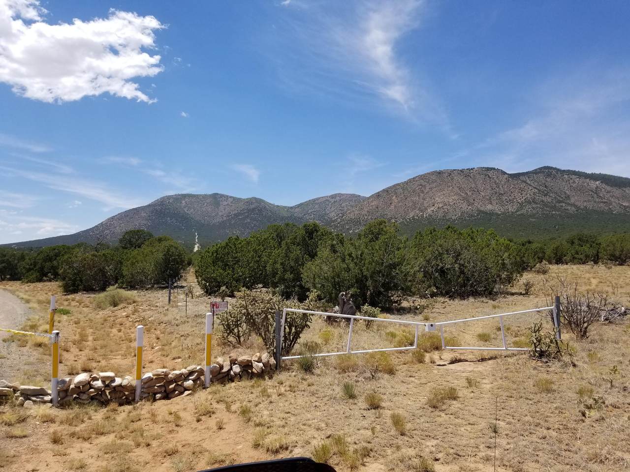 Sandoval Rd Road - Photo 1