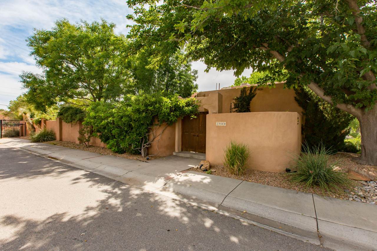 2900 Calle De Alamo - Photo 1