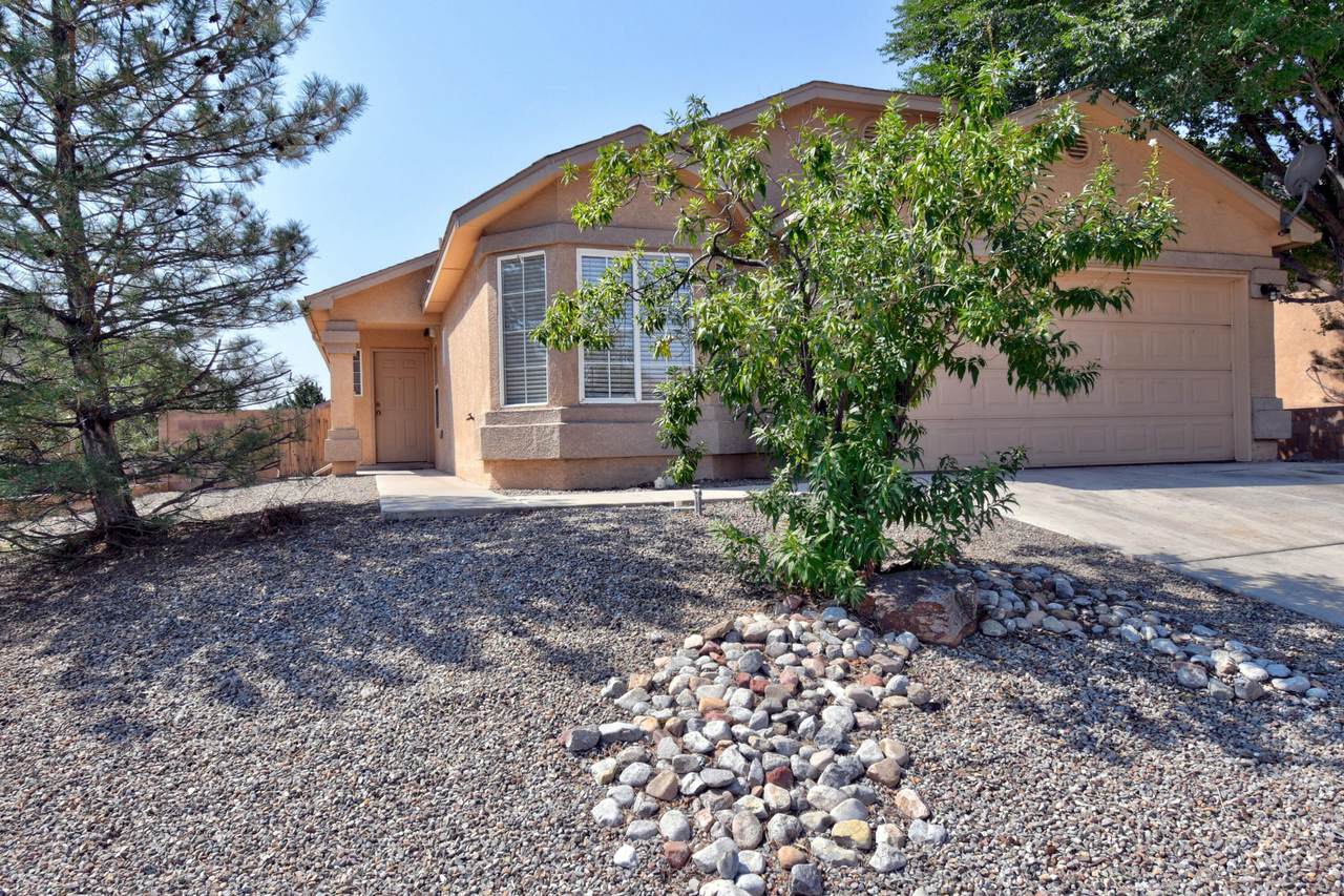 9820 Wagon Gate Trail - Photo 1