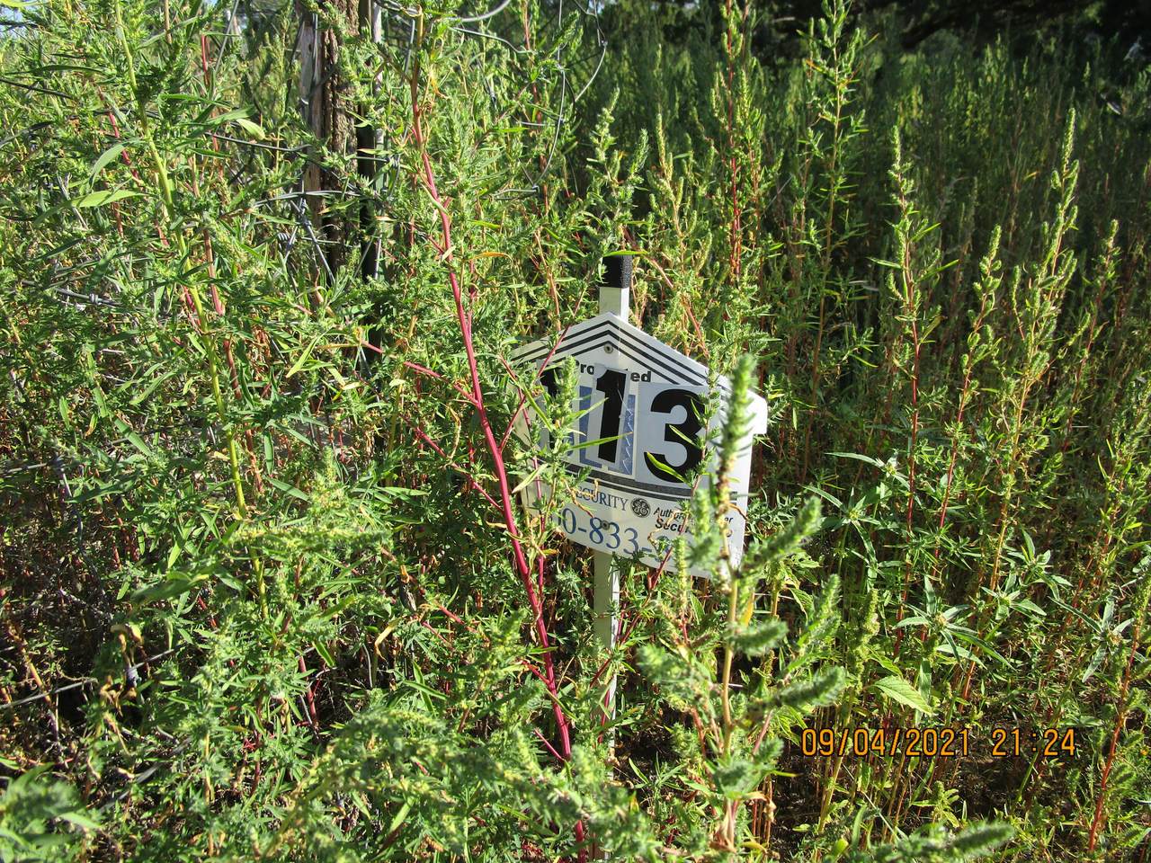 113 4TH OF JULY RD - Photo 1