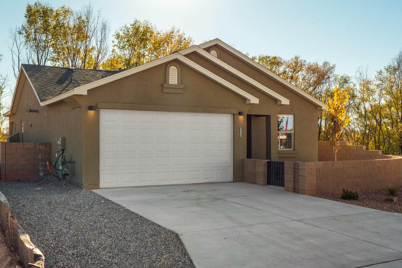 219 Piedra Lisa Street - Photo 1