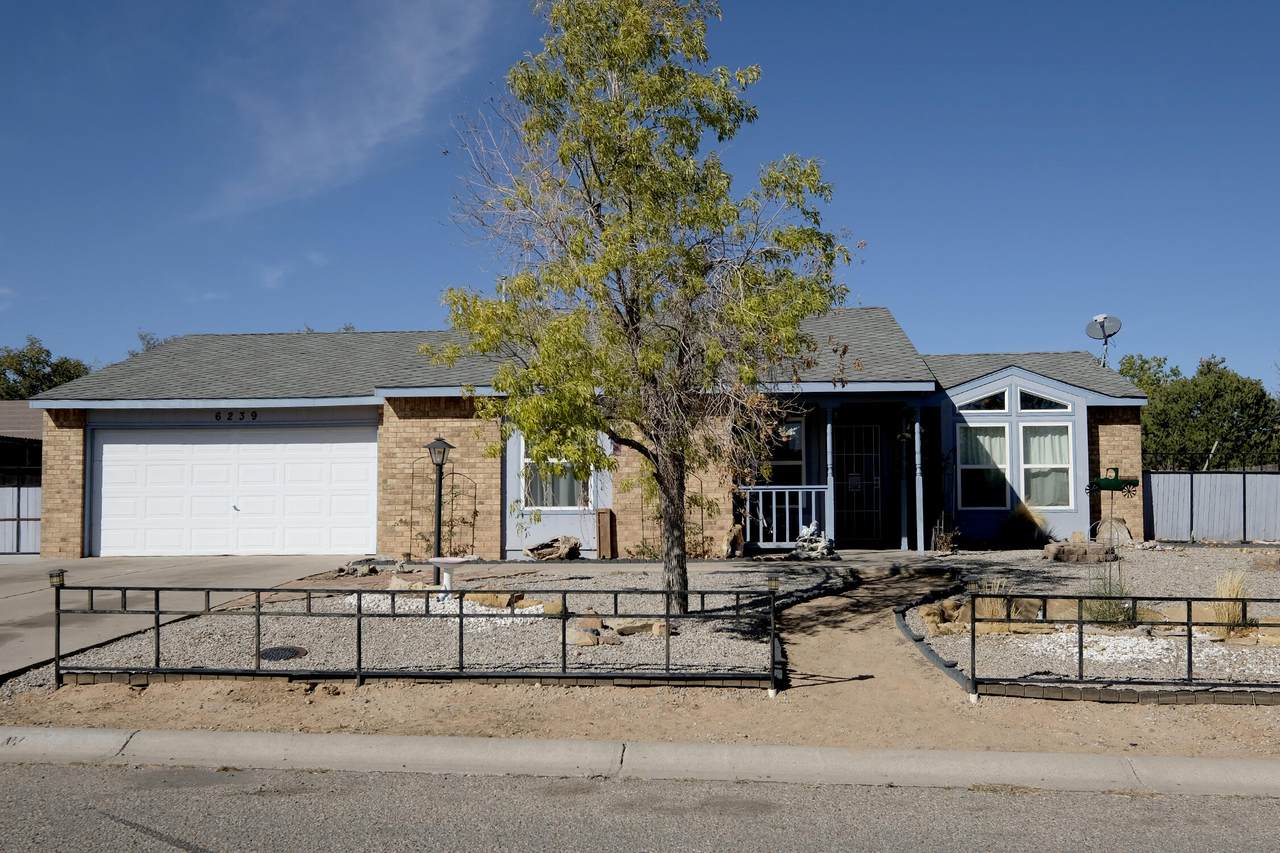 6239 Roadrunner Loop - Photo 1