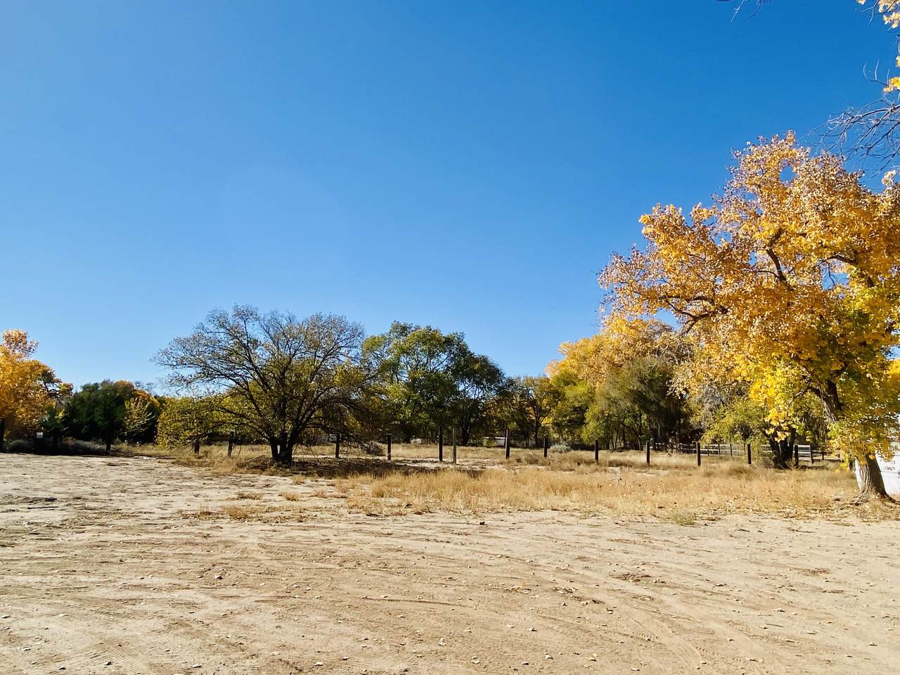 7515 Santiago Road - Photo 1