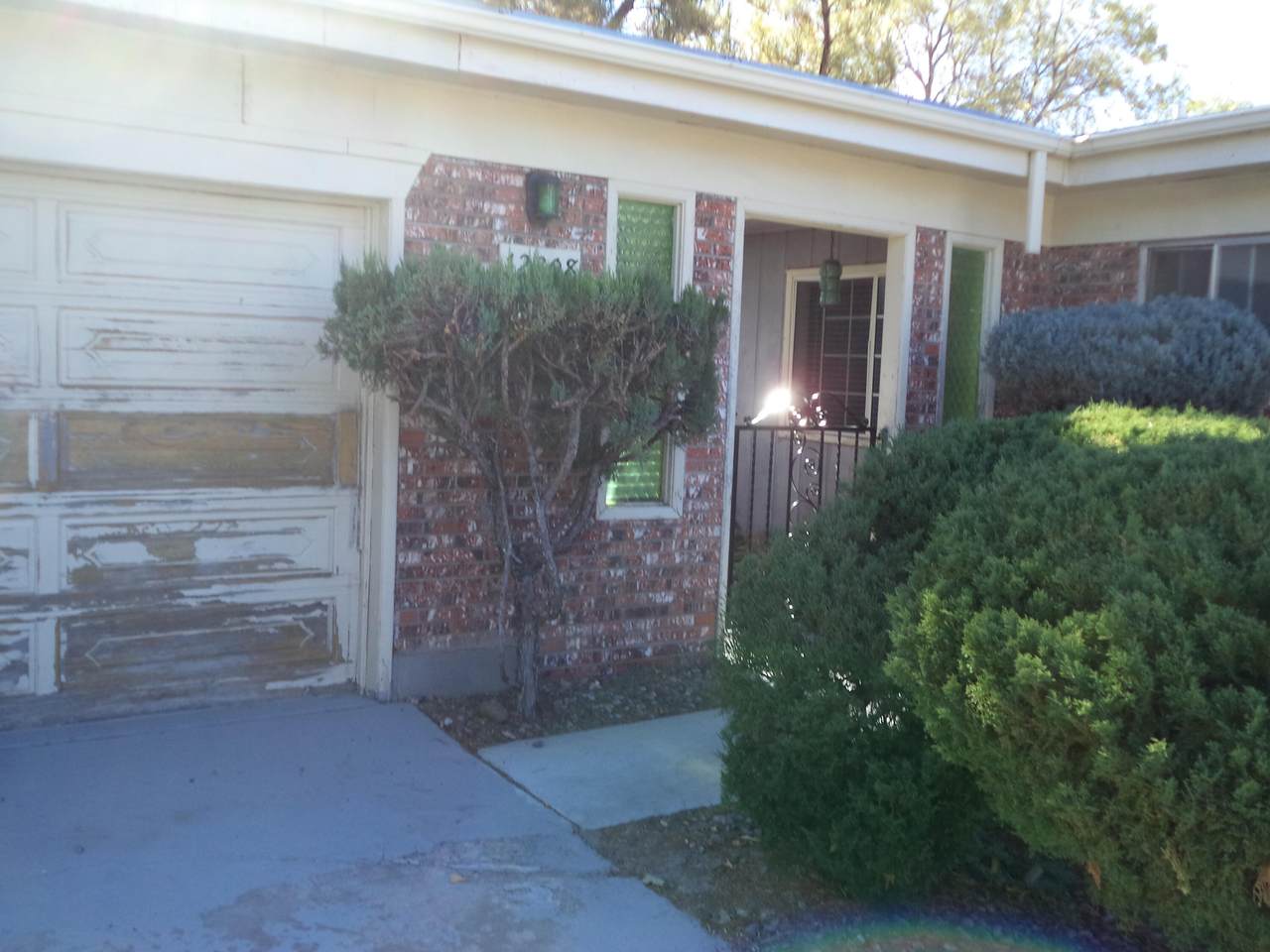 12308 Princess Jeanne Avenue - Photo 1