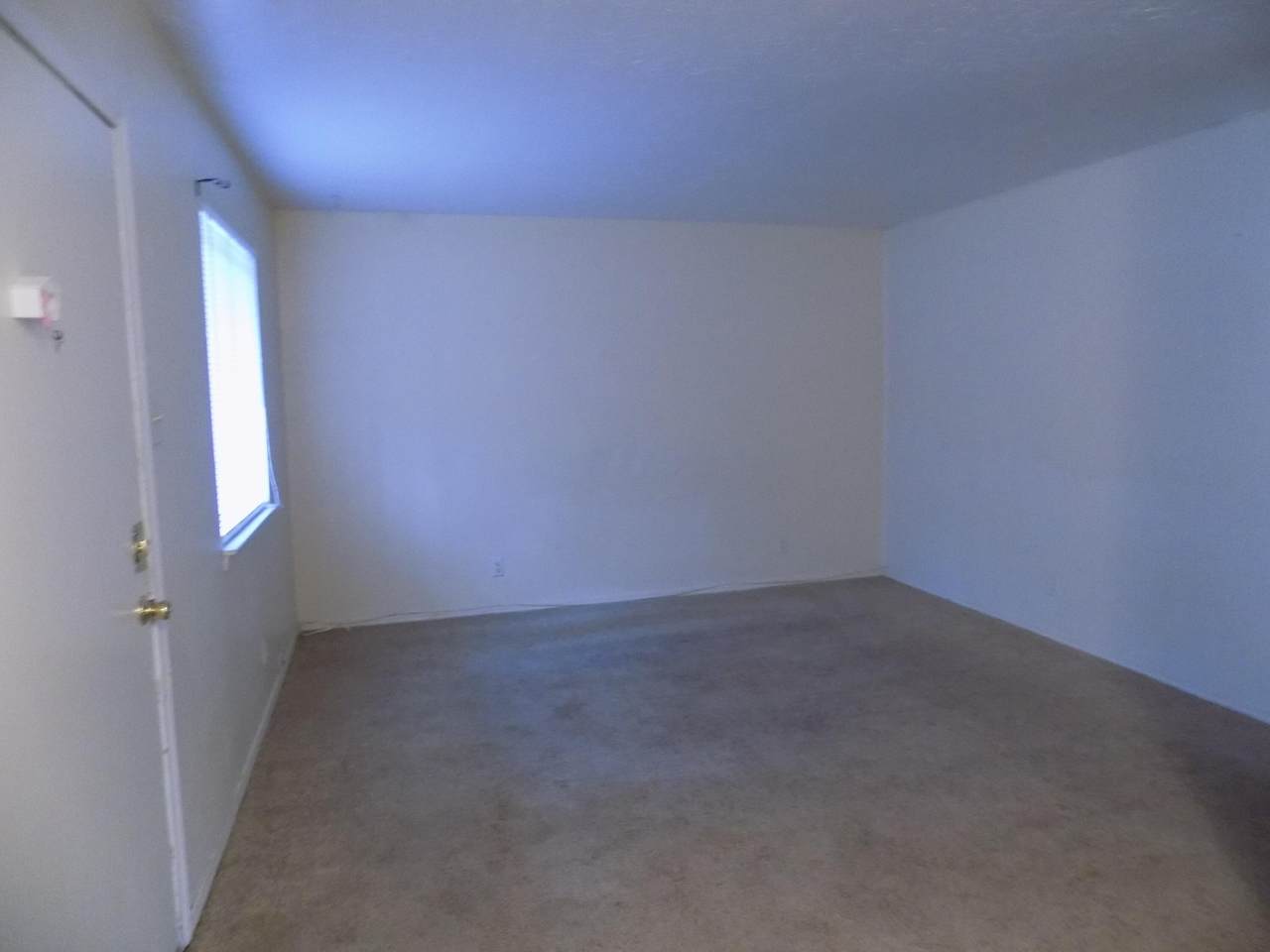 313 Columbia Drive - Photo 1
