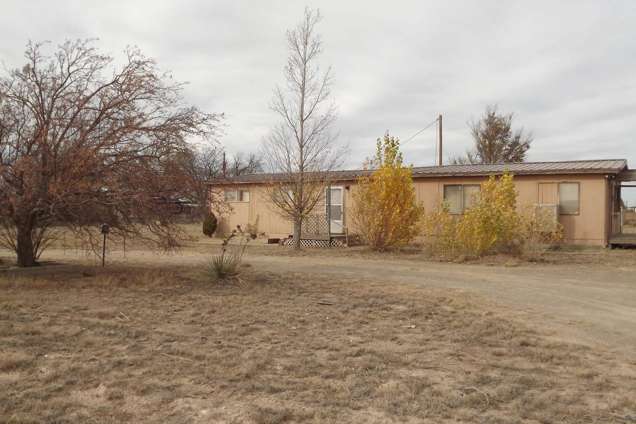 125 Marshall Road - Photo 1