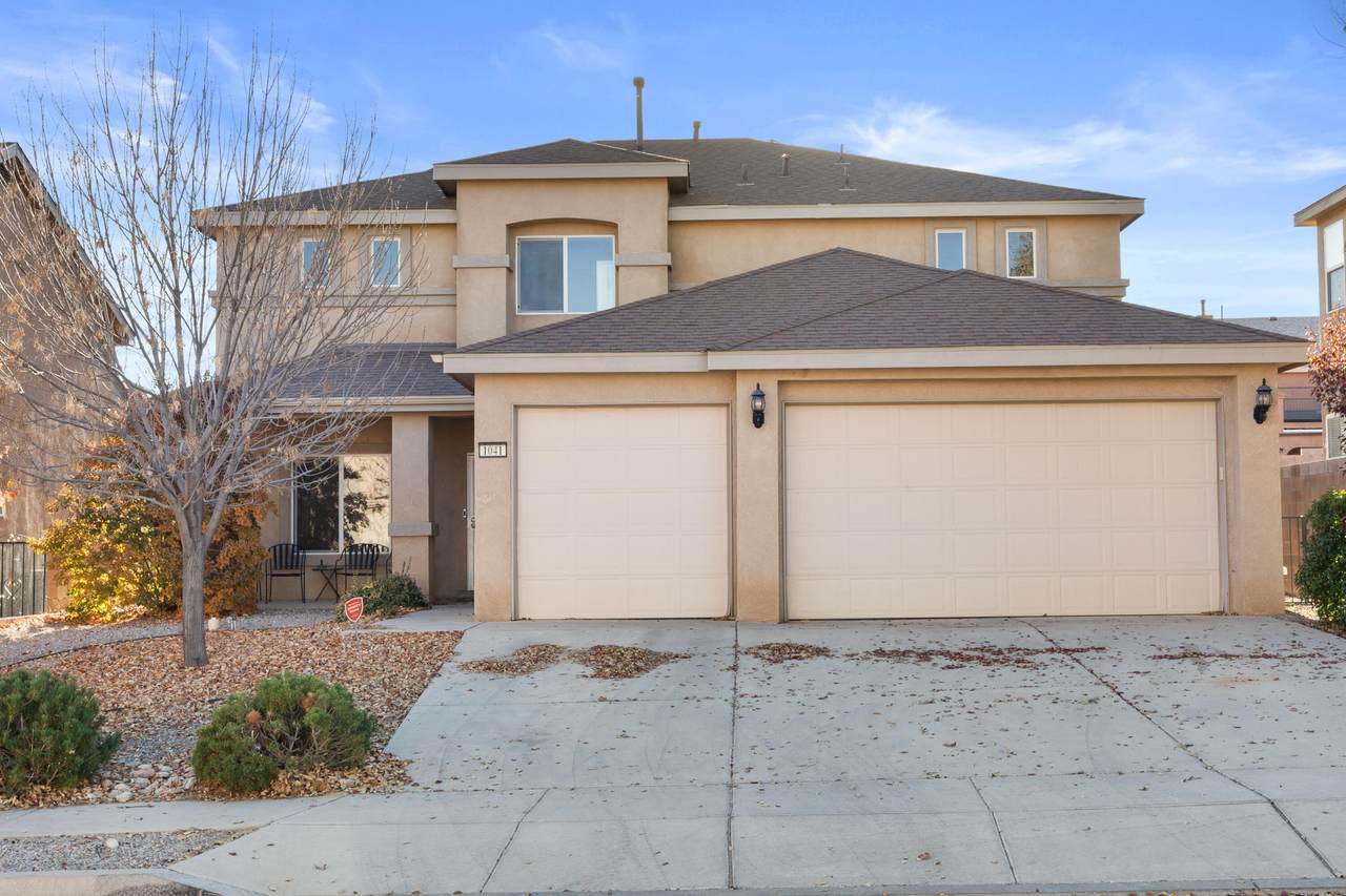 1041 Festival Court - Photo 1