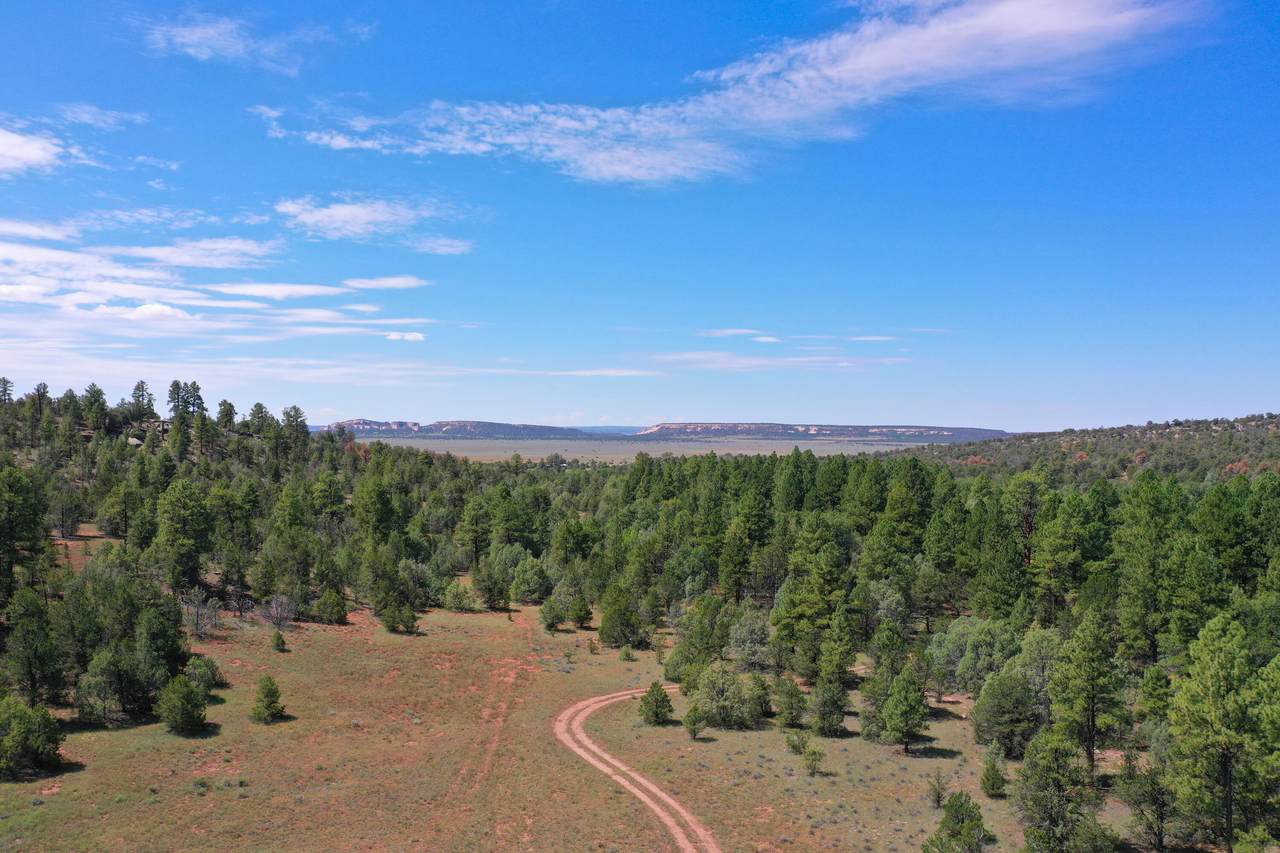 Purple Rock Ranch - Photo 1