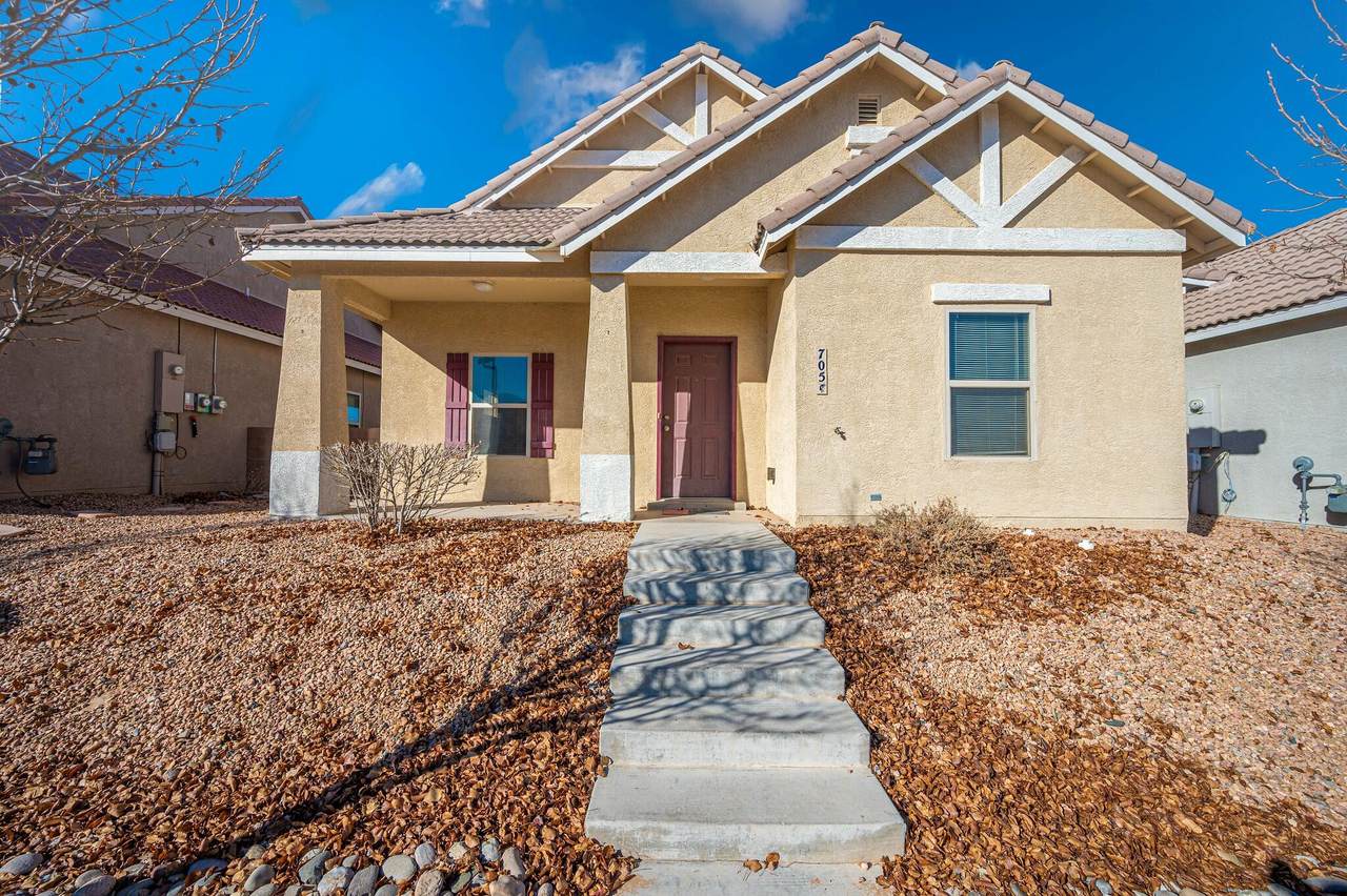 705 Palo Duro Drive - Photo 1