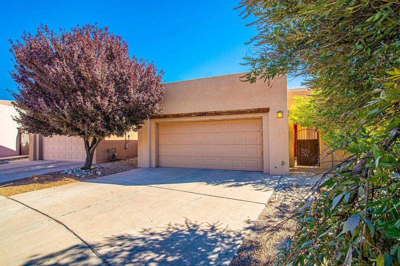 2254 Calle De Alifas - Photo 1