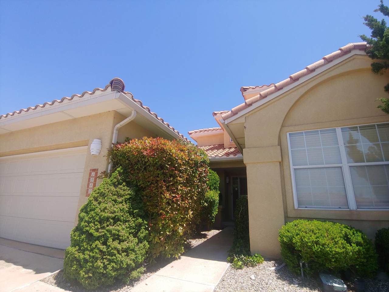 1240 Setter Drive - Photo 1
