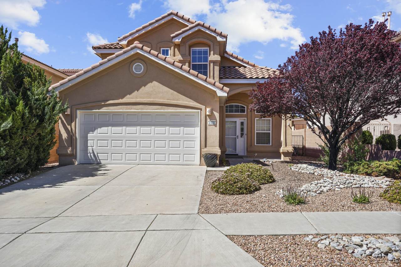 7131 Wild Olive Avenue - Photo 1