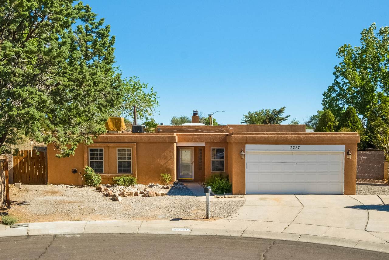 7217 Del Pasado - Photo 1