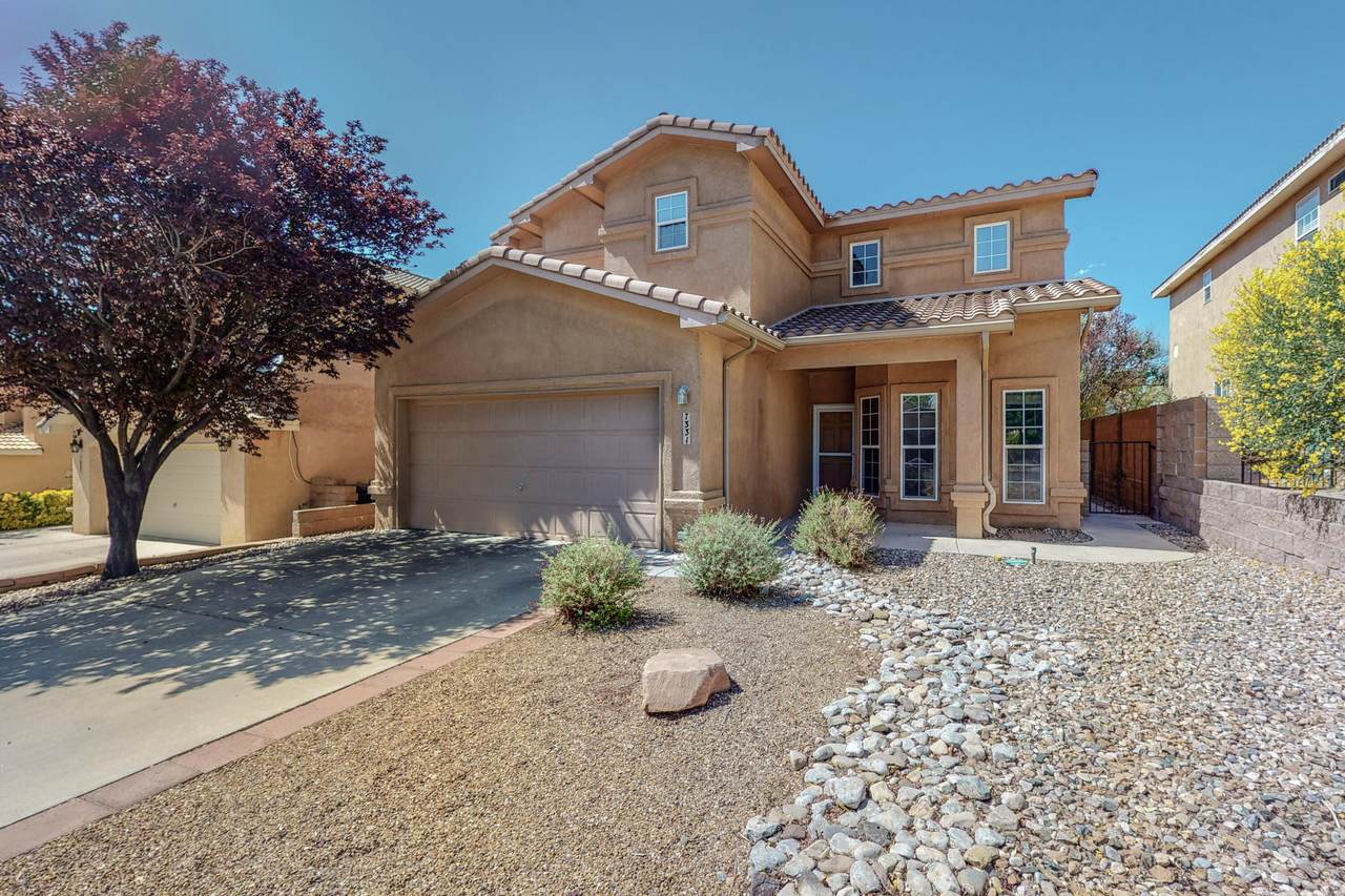 7331 Wild Olive Avenue - Photo 1