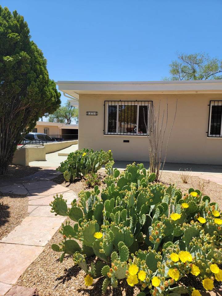 409 Sycamore Street - Photo 1