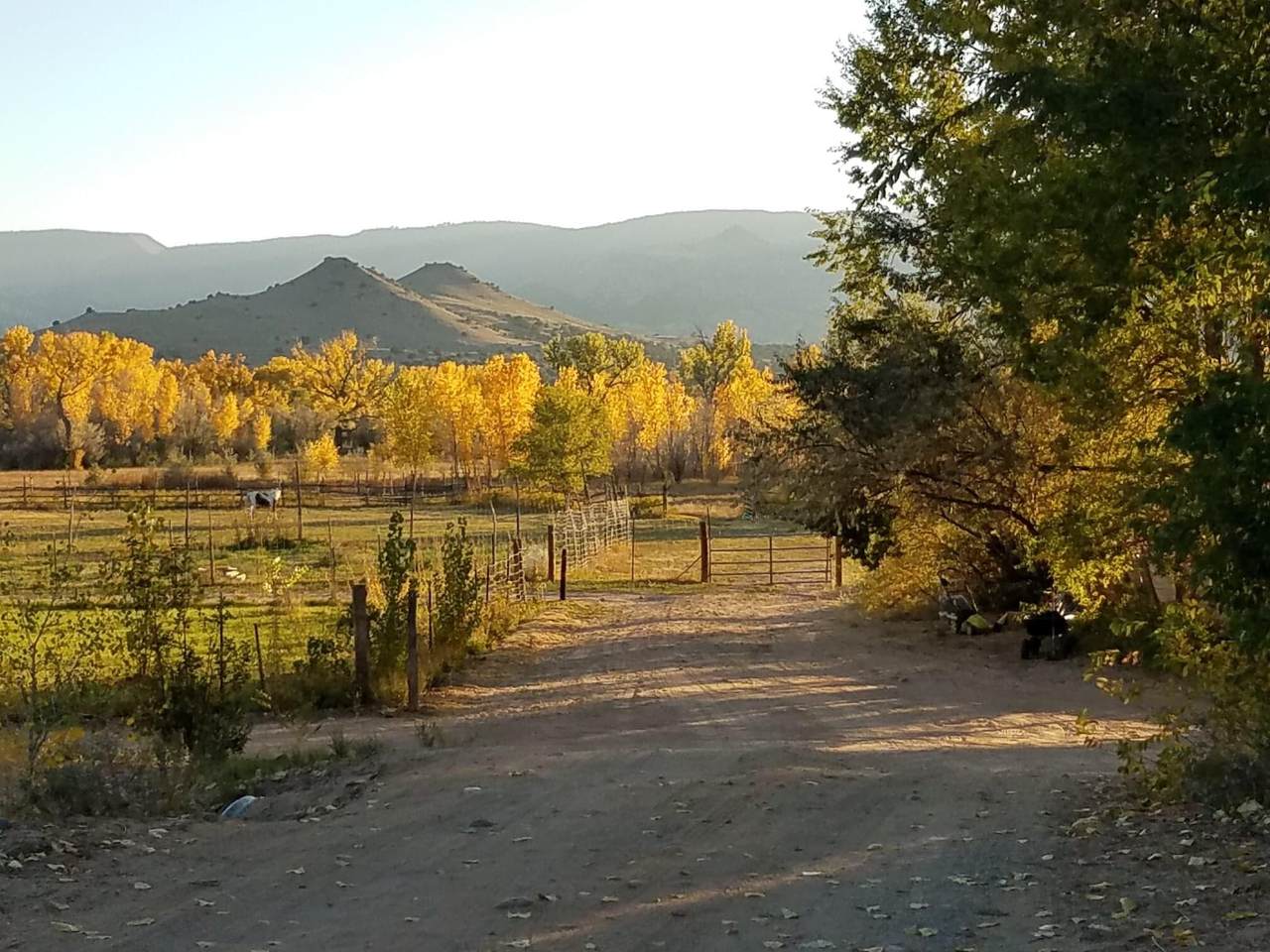 691 County Road 142 - Photo 1