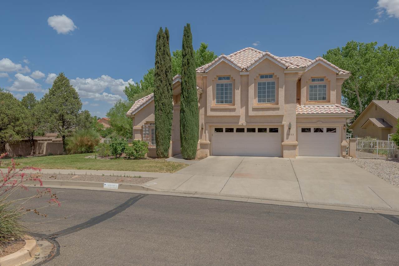 10553 Calle Alba - Photo 1