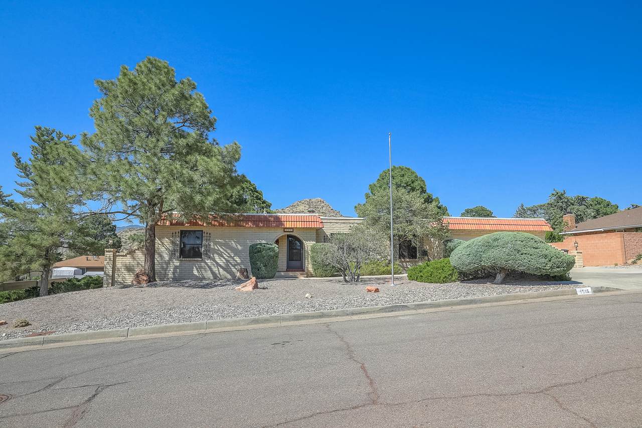 1515 Camino Cerrito - Photo 1