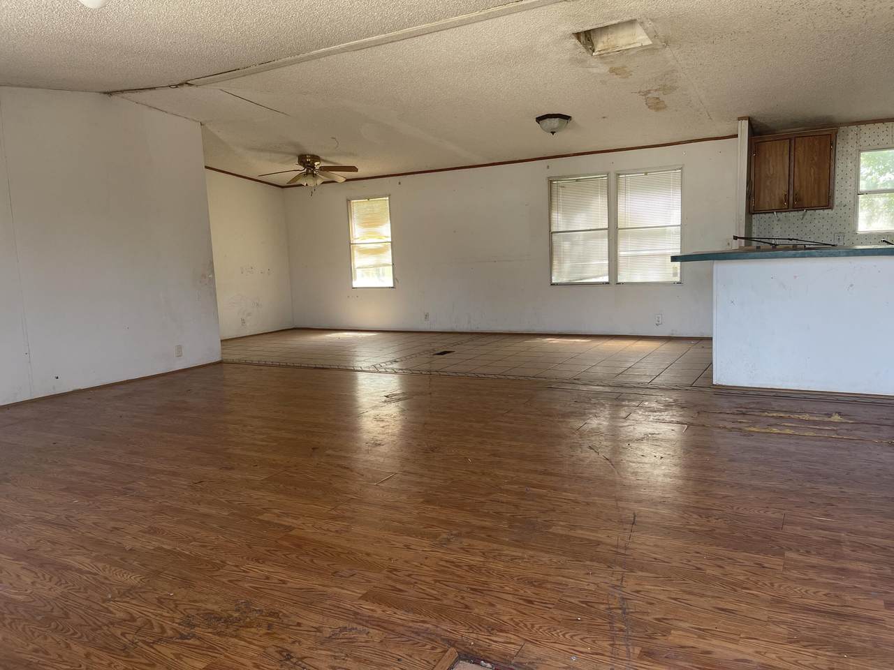 393 Jarales Road - Photo 1