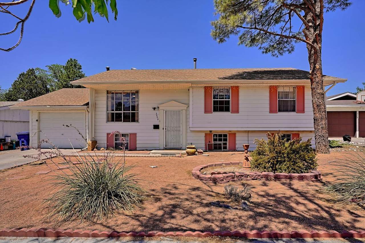 3809 Inca Street - Photo 1
