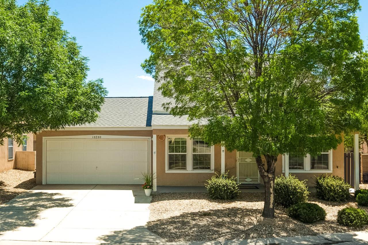 10700 Chilili Drive - Photo 1