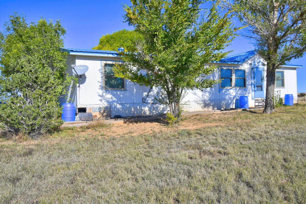 75 Sheepdog Lane - Photo 1