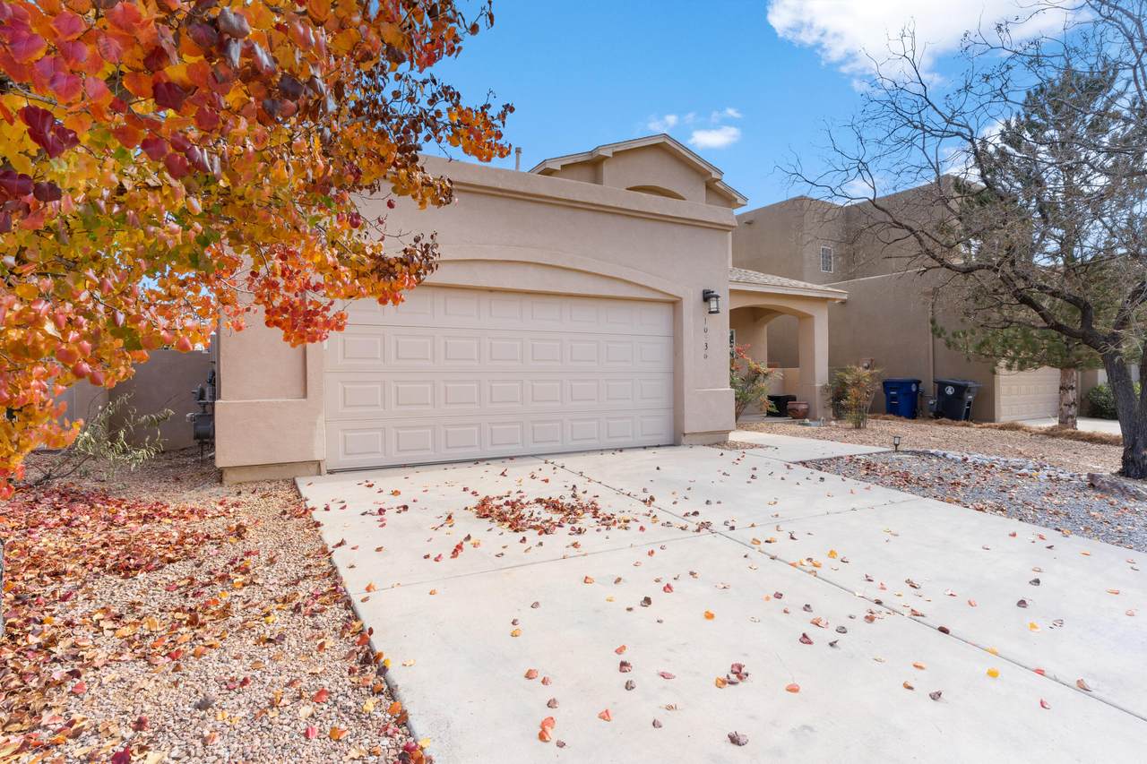 10536 Bilboa Street - Photo 1