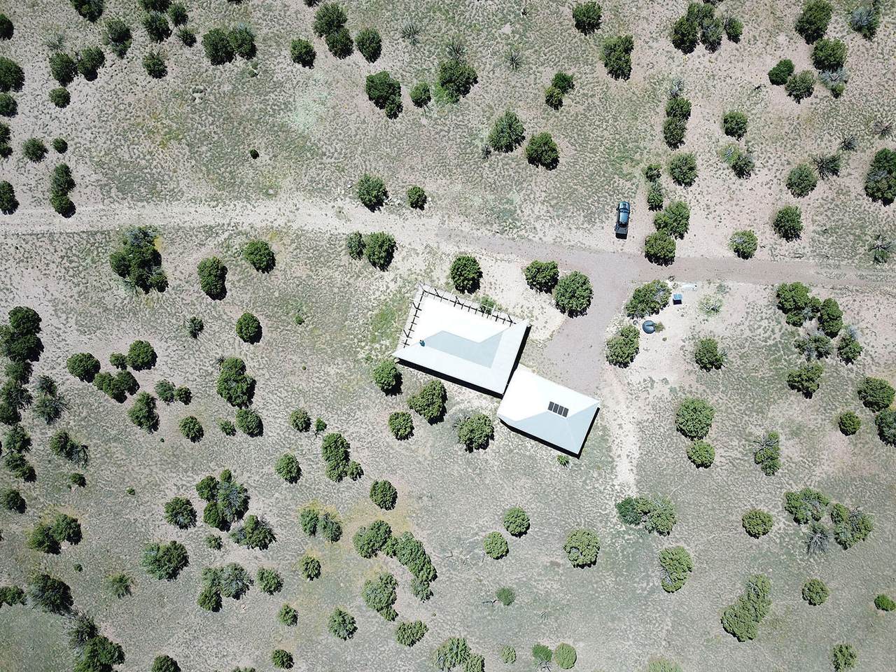0 Forest Road 354 - Photo 1