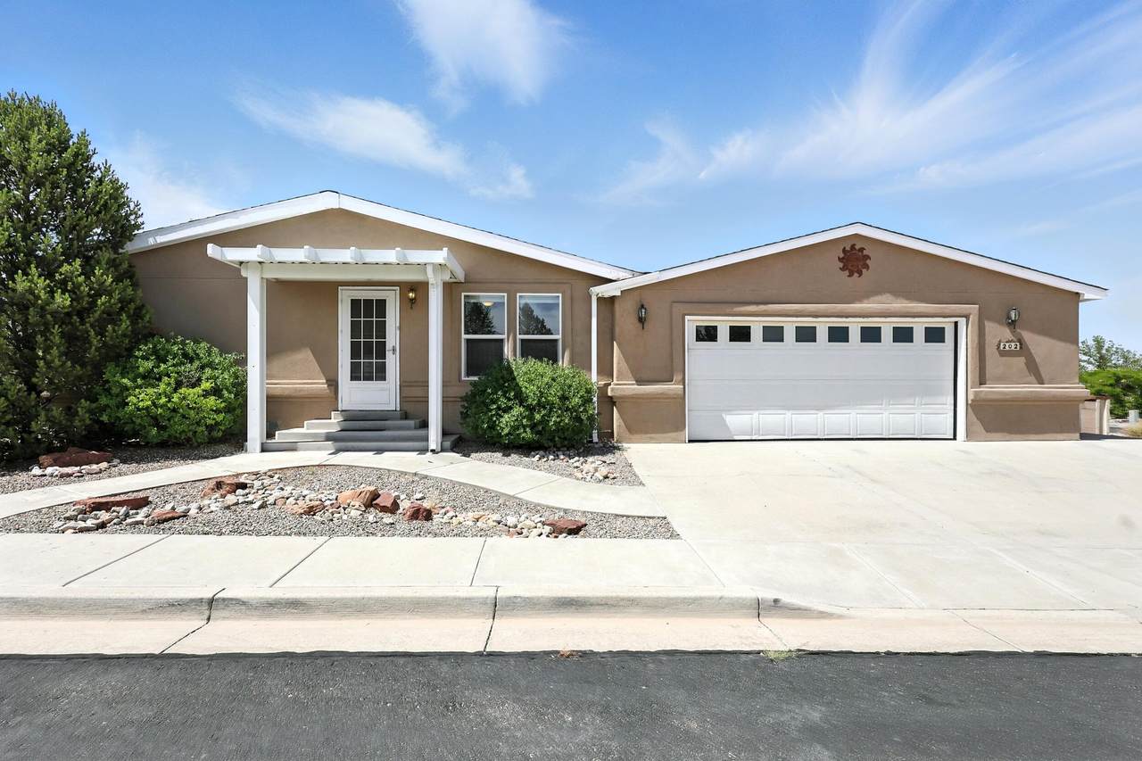 202 Sunrise Bluffs Drive - Photo 1