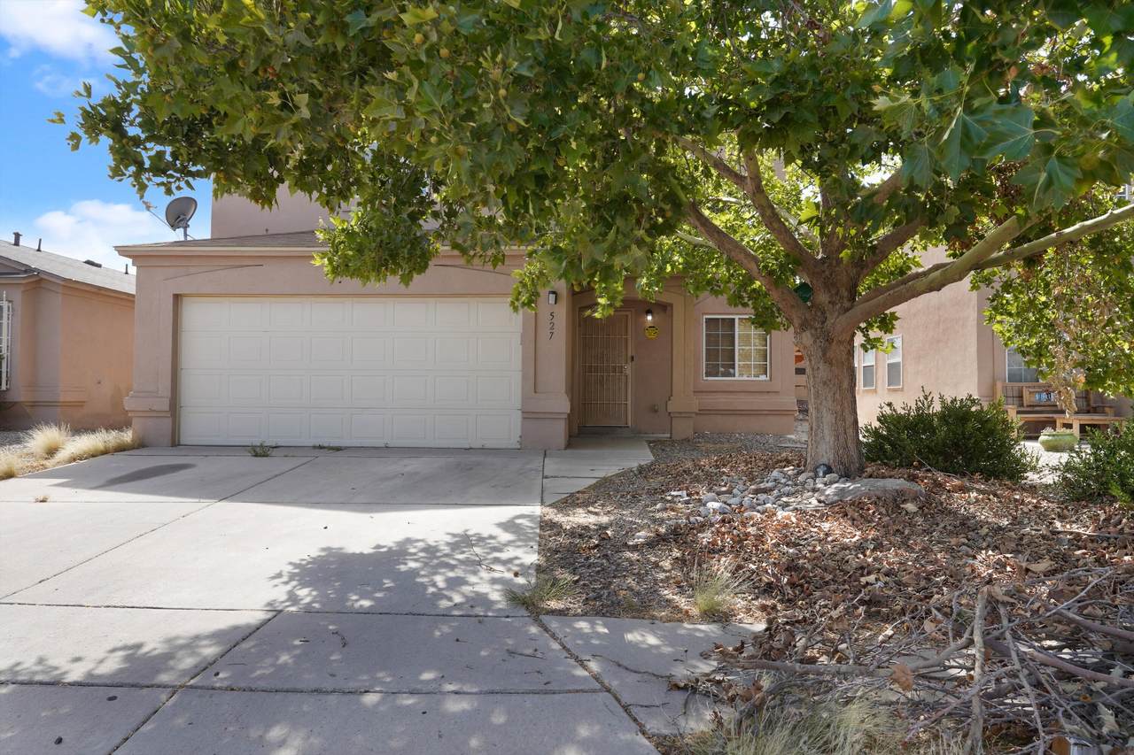 527 Whisper Mesa Street - Photo 1