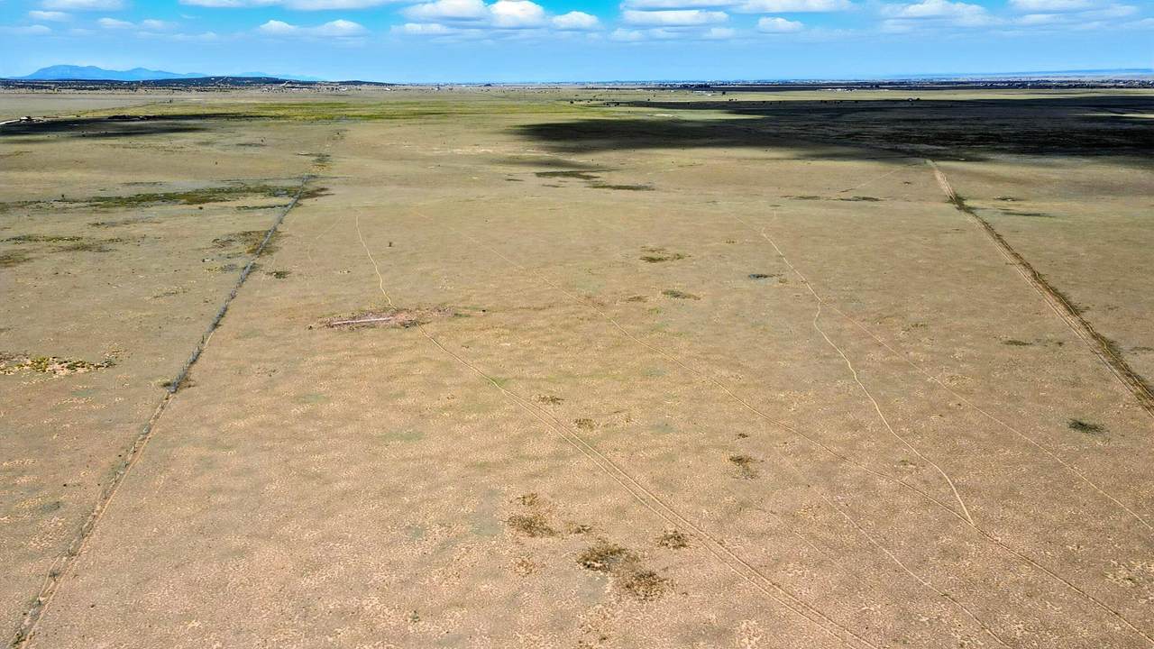  West Side Of Firefly Lane - Photo 1