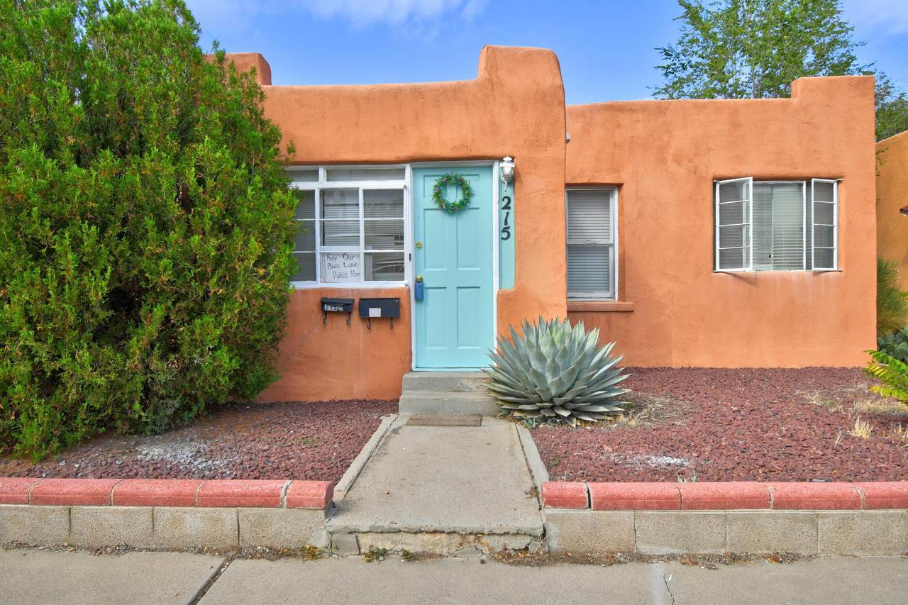 215 Maple Street - Photo 1