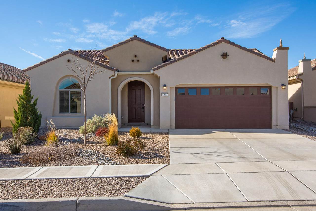 1605 Buffalo Brook Way - Photo 1