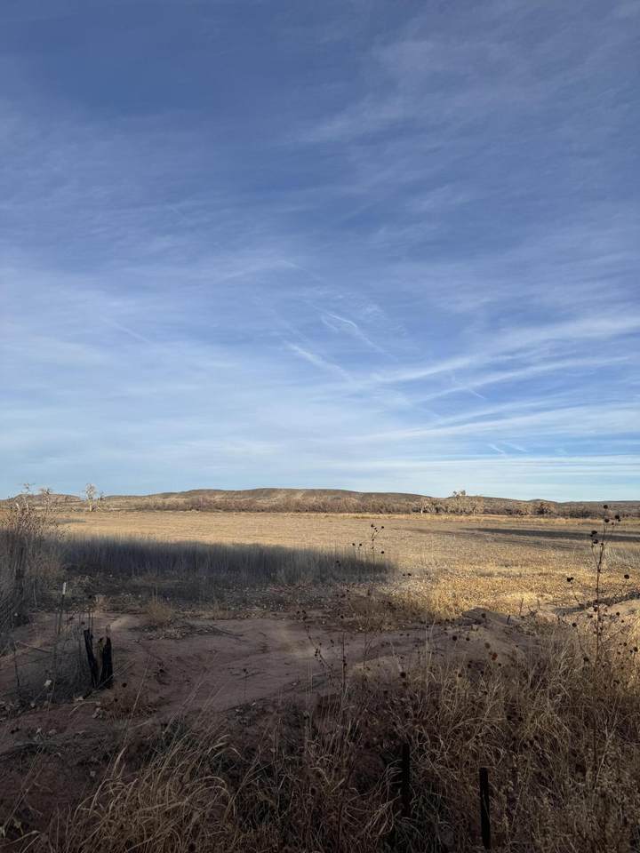 13.47ACRES Hemingway Loop - Photo 1