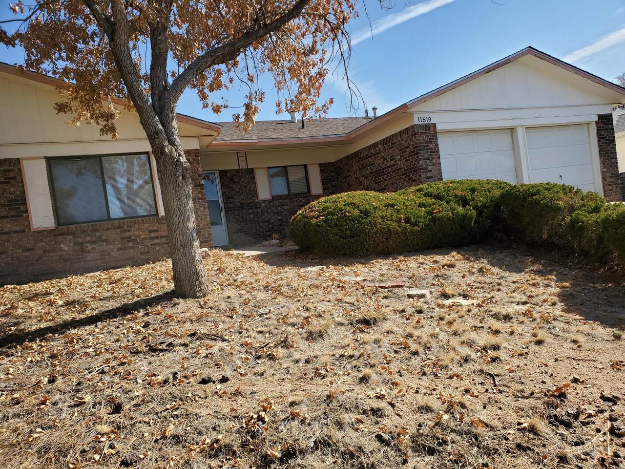 11519 Morocco Road - Photo 1