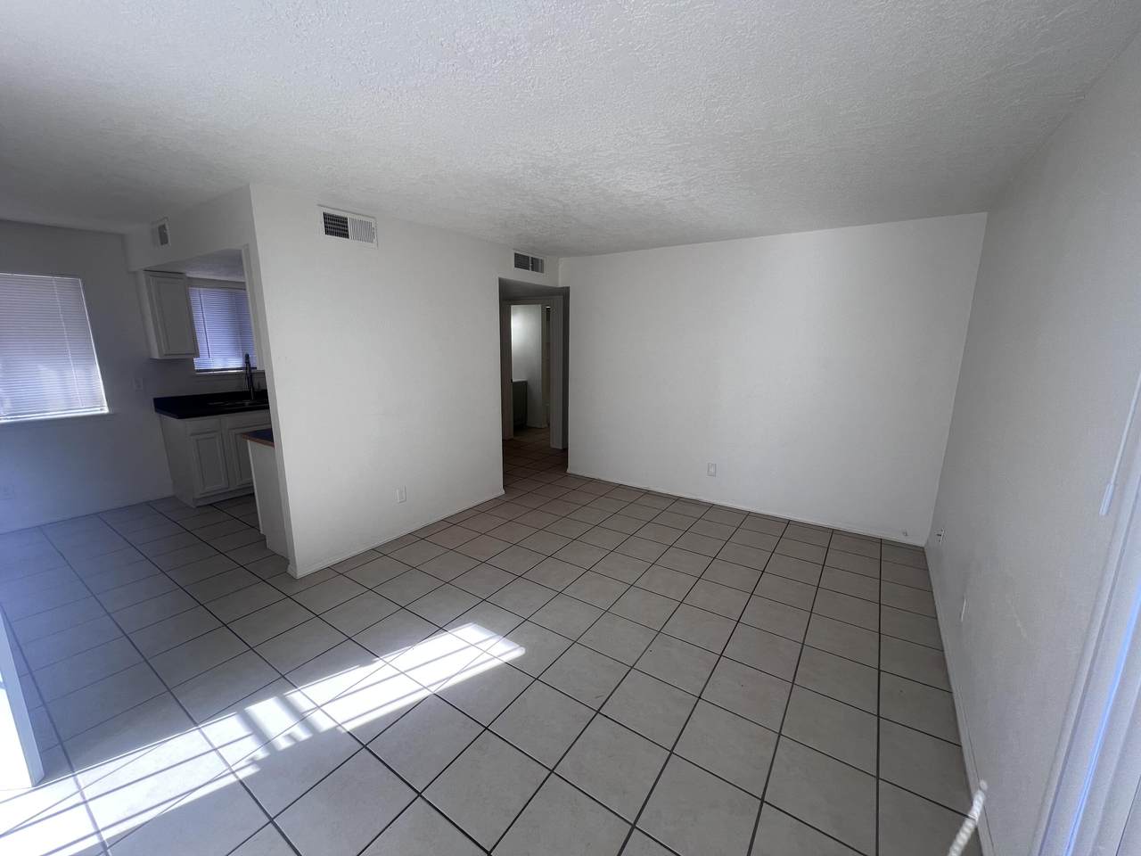 1005 Dickerson Drive - Photo 1