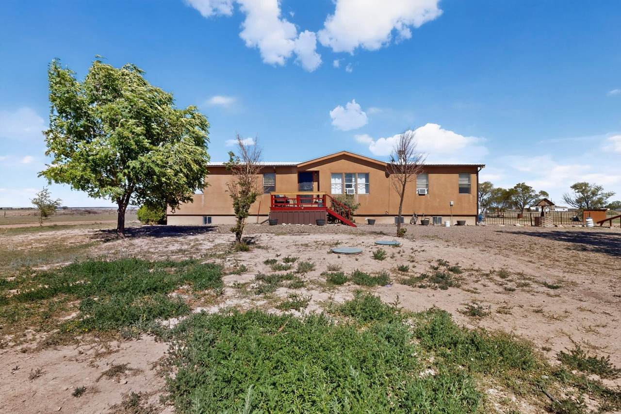 35 Dalton Place - Photo 1