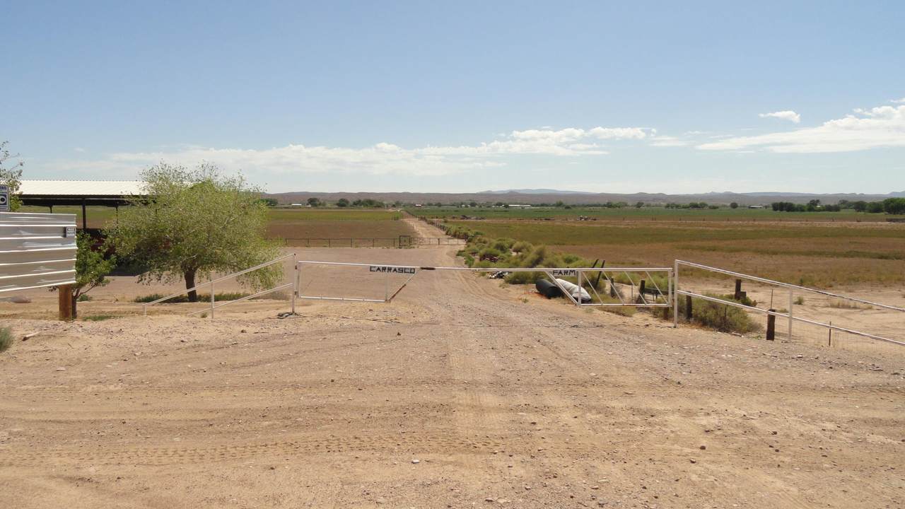  Carrasco Farm Lane Road - Photo 1