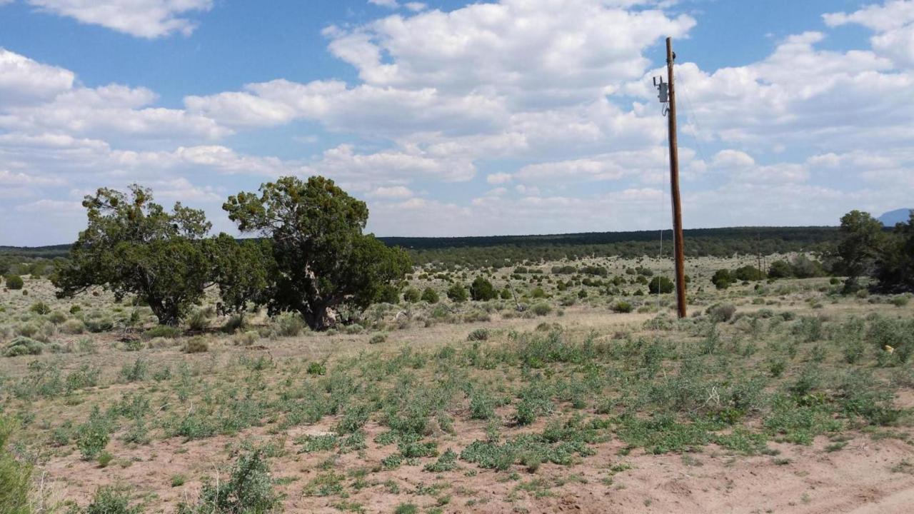 Off Sr 603 County Road - Photo 1