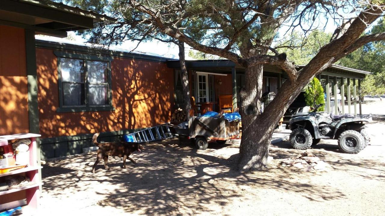 162 Homestead Trail - Photo 1
