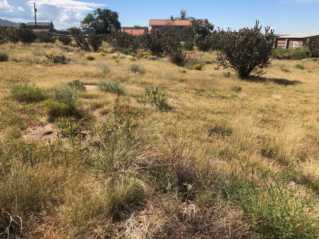 10800 Eagle Rock Avenue - Photo 1