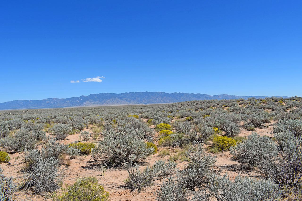 Lot 26 Rio Grande Estates - Photo 1
