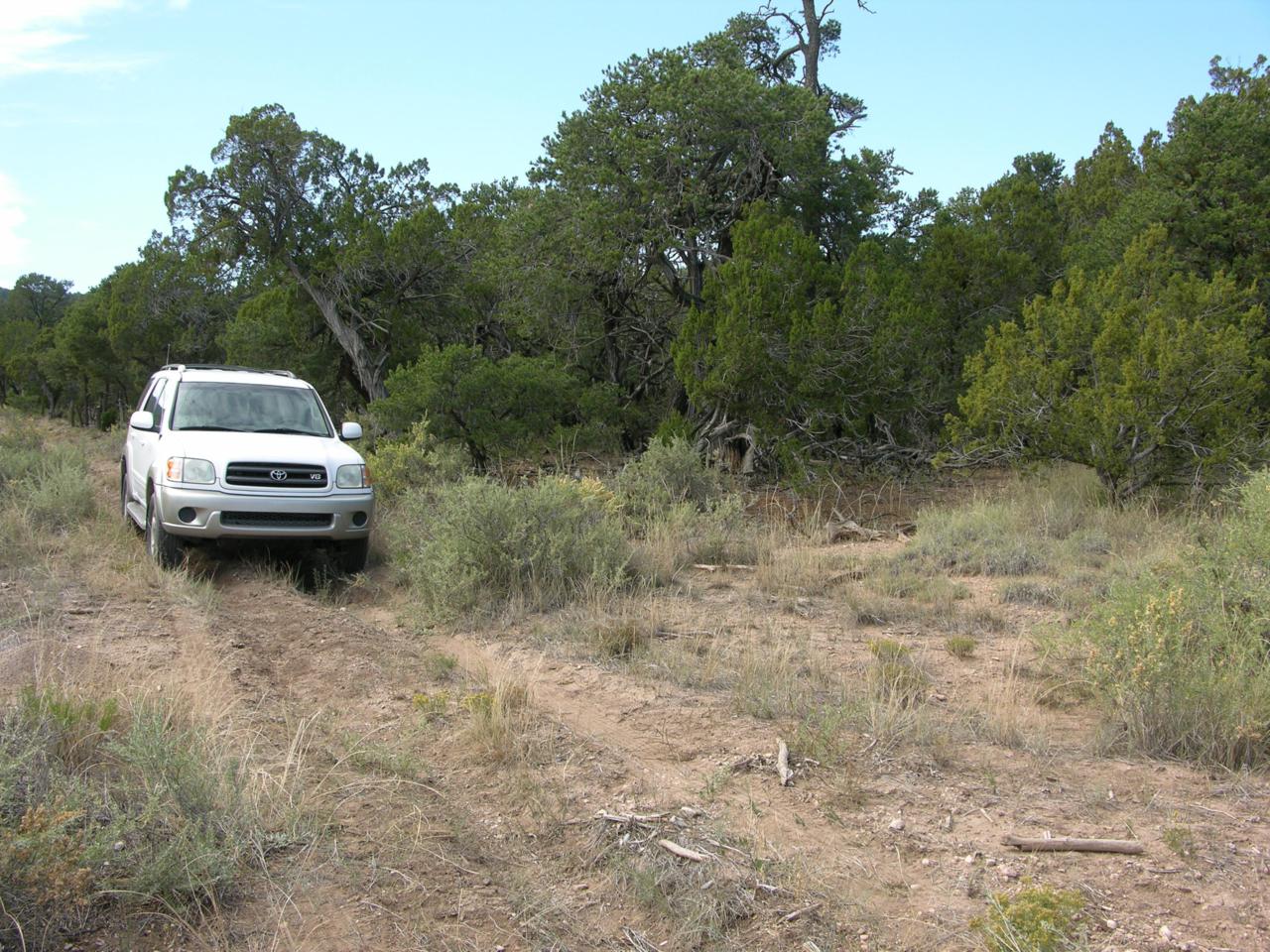 23 Olivas Place - Photo 1