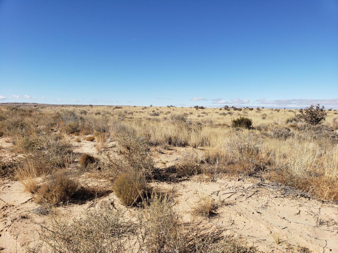 Southern Road - Photo 1