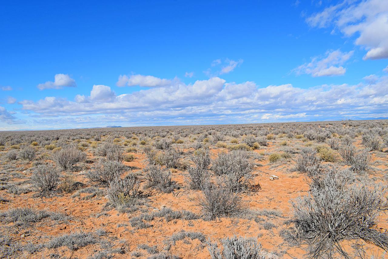 Lot 19 Rio Grande Estates - Photo 1