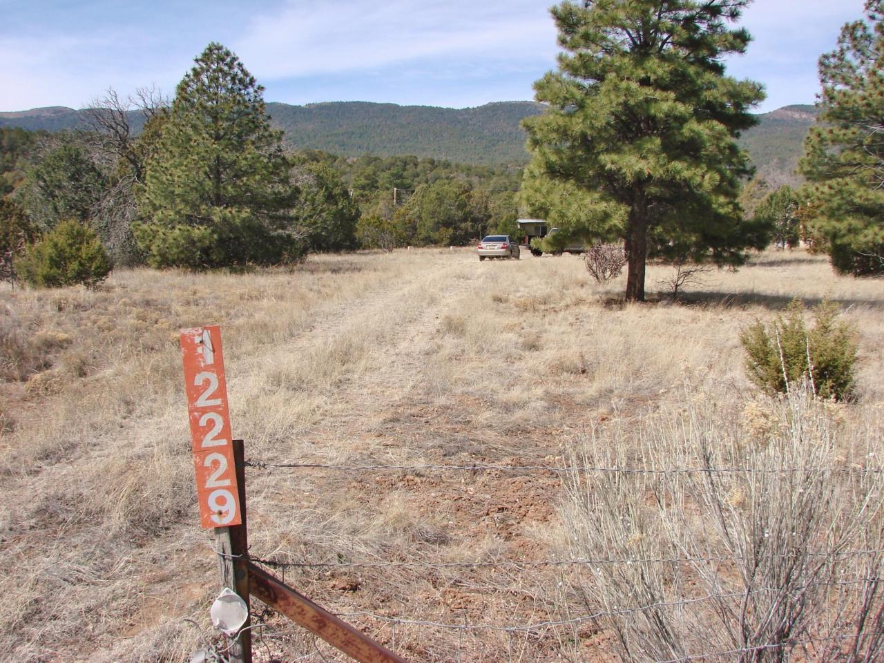 12229 State Highway 14 - Photo 1