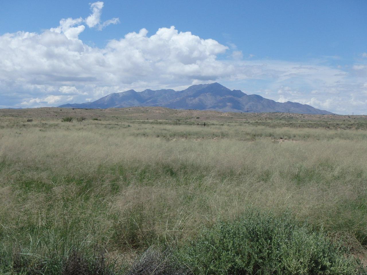 Rio Puerco Ranch - Photo 1